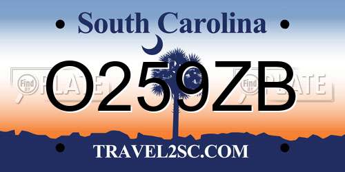 O259ZB South Carolina License Plate