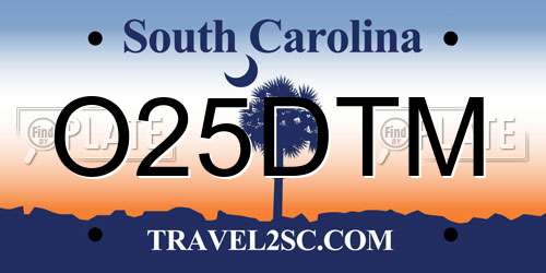 O25DTM South Carolina License Plate
