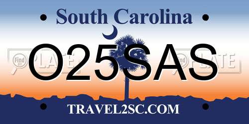O25SAS South Carolina License Plate