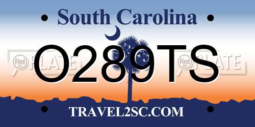 O289TS South Carolina License Plate
