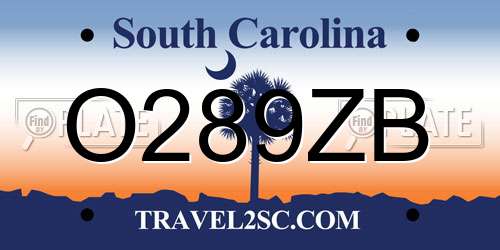 O289ZB South Carolina License Plate
