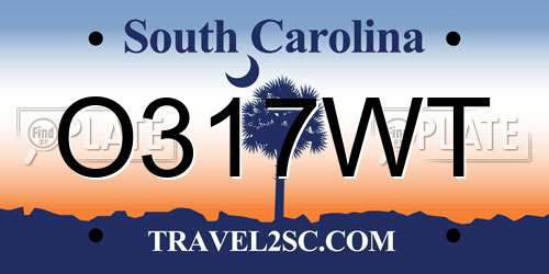 O317WT South Carolina License Plate