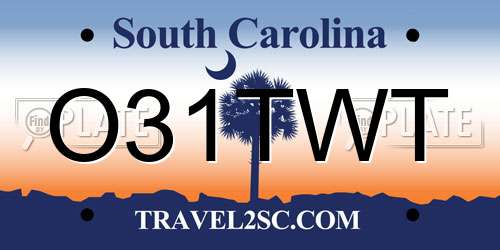 O31TWT South Carolina License Plate
