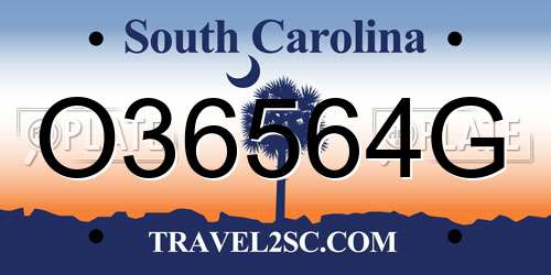 O36564G South Carolina License Plate