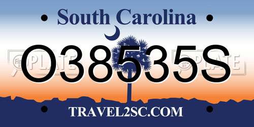 O38535S South Carolina License Plate