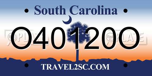O40120O South Carolina License Plate