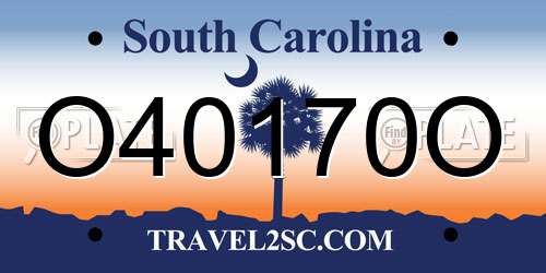 O40170O South Carolina License Plate