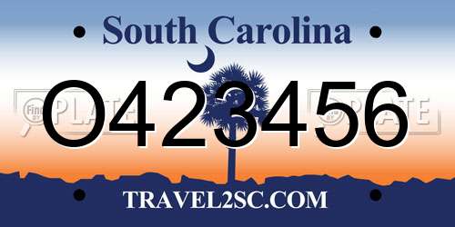 O423456 South Carolina License Plate