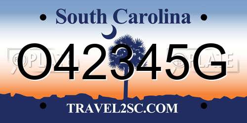 O42345G South Carolina License Plate