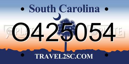 O425054 South Carolina License Plate