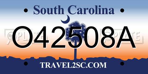 O42508A South Carolina License Plate