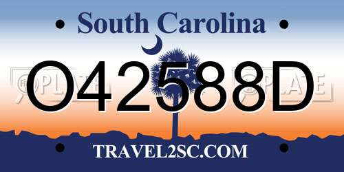 O42588D South Carolina License Plate