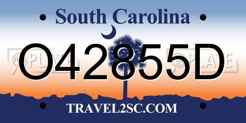 O42855D South Carolina License Plate