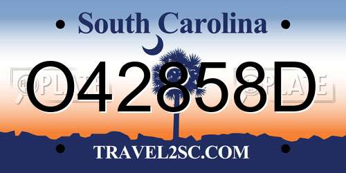 O42858D South Carolina License Plate