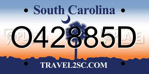 O42885D South Carolina License Plate