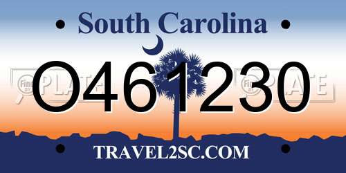 O461230 South Carolina License Plate