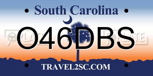 O46DBS South Carolina License Plate