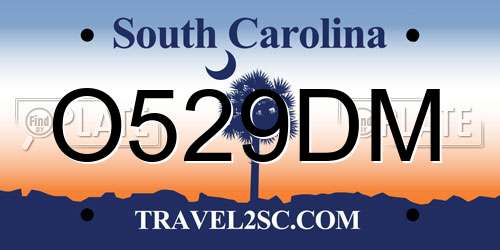 O529DM South Carolina License Plate