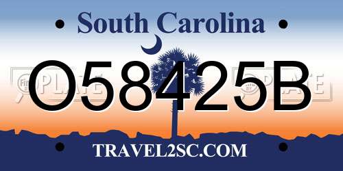 O58425B South Carolina License Plate