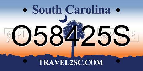 O58425S South Carolina License Plate