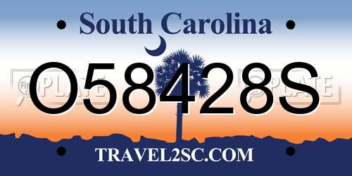O58428S South Carolina License Plate