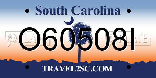 O60508I South Carolina License Plate