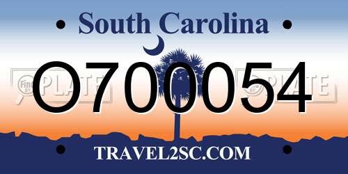 O700054 South Carolina License Plate