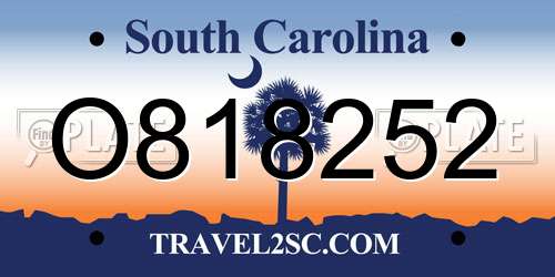 O818252 South Carolina License Plate