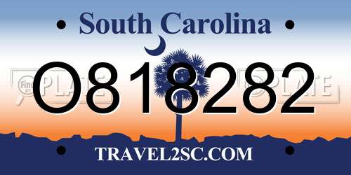 O818282 South Carolina License Plate