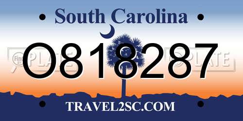 O818287 South Carolina License Plate