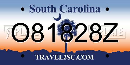 O81828Z South Carolina License Plate