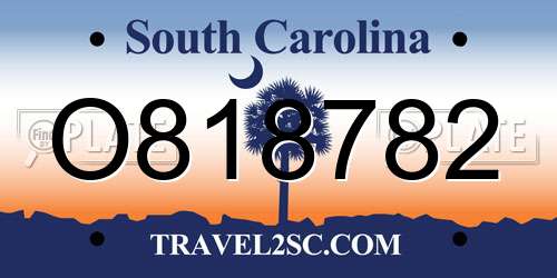 O818782 South Carolina License Plate