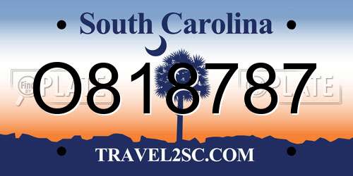 O818787 South Carolina License Plate