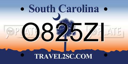O825ZI South Carolina License Plate