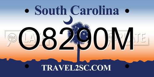 O8290M South Carolina License Plate