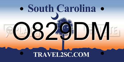 O829DM South Carolina License Plate