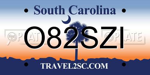 O82SZI South Carolina License Plate