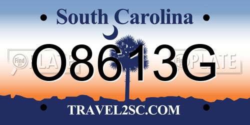 O8613G South Carolina License Plate