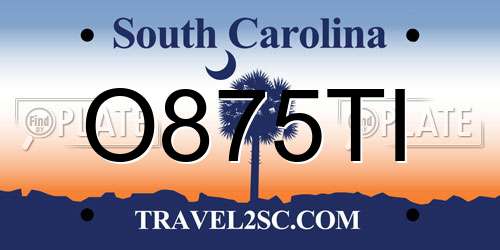O875TI South Carolina License Plate
