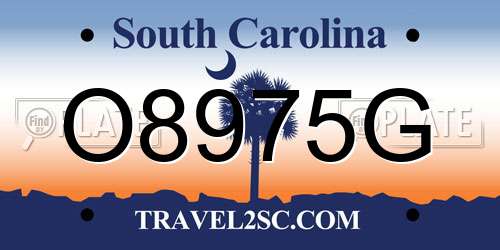 O8975G South Carolina License Plate