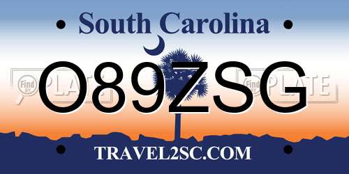 O89ZSG South Carolina License Plate