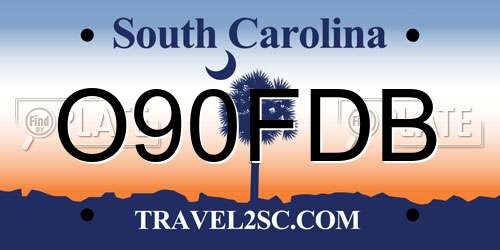 O90FDB South Carolina License Plate