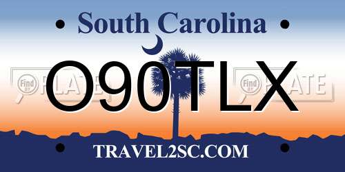 O90TLX South Carolina License Plate