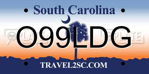 O99LDG South Carolina License Plate