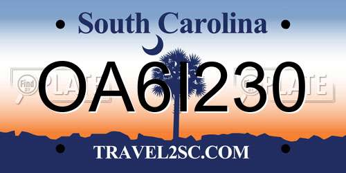 OA6I230 South Carolina License Plate