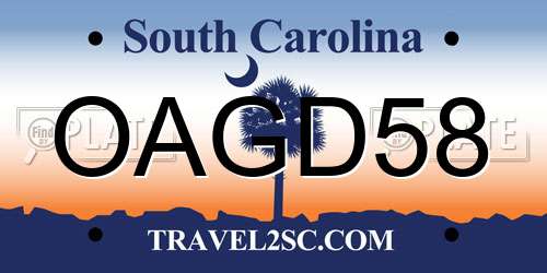 OAGD58 South Carolina License Plate