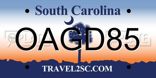 OAGD85 South Carolina License Plate
