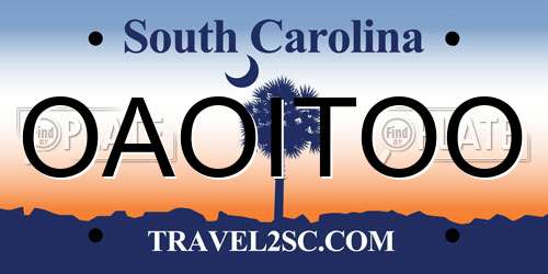 OAOITOO South Carolina License Plate