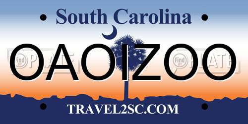 OAOIZOO South Carolina License Plate