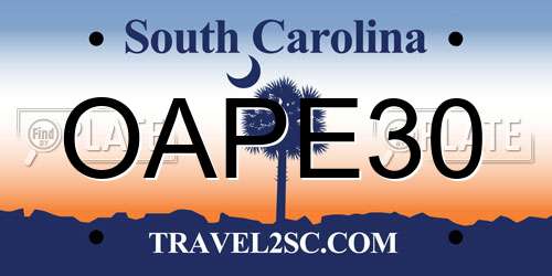 OAPE30 South Carolina License Plate